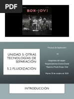 5.2 Fluidizacion PDF