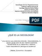 Enfoques Sociológicos Grupos y Organizaciones PDF