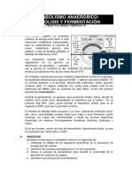 Practica de Laboratorio Glucolisis y Fermentacion PDF