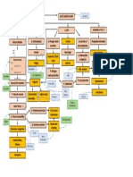 Acute Kidney Injury Concept Map