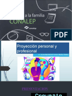 Proyeccion Personal y Profesional