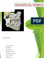 Trigeminal Nerve: Presented by DR Harees Shabir JR I Departmant of Pedodontics