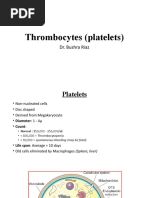 Thrombocytes (Platelets)