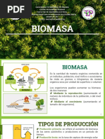 La Biomasa Ingeniería Ambiental