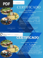 Certificado Ponencia Pnfa