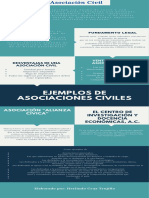 Infografía de Asociaciones Civiles - Cruz Trujillo PDF