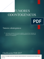 Tumores Odontogénicos