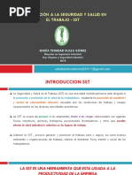 Clase 1 Intro SST, Clase 2 Hig Ind PDF