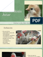 Colibacilosis Aviar