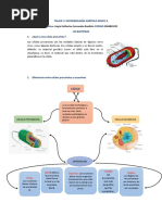 Taller Microbiologia Las Bacterias