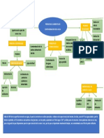 Mapa Conceptual