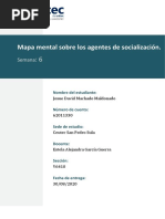 Mapa Mental Sobre Los Agentes de Socializacion