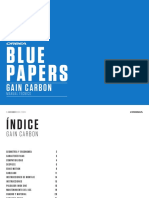 Blue Papers: Gain Carbon