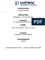 Informe-Del-Test-de-La-Persona-Bajo-La-Lluvia y Familia