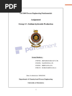 Assignment Group 13: Sodium Hydroxide Production: CH 1060 Process Engineering Fundamentals