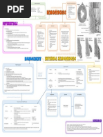 Initial PE and Labs History Initial Impression: Location &