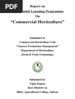 "Commercial Horticulture": Report On Experiential Learning Programme On