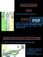 Lymphatic Vessels: Lymph