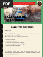 Balanceo de Raciones