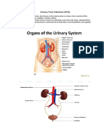 Urinary Tract Infection