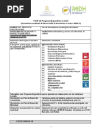 2020 Perfil de Proyecto Específico