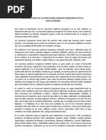 La Importancia de Las Reacciones Quimicas Inorganicas en La Vida Cotidiana