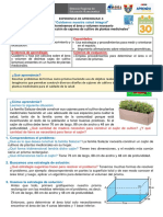 Sem 30 Vi Ciclo Matematica