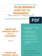 Principios Que Informan El Proceso Civil y El Procedimiento