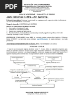 GUIAS DE APRENDIZAJE #7 Oscar Garcia GRADO SEXTO Ciencias Naturales-Artistica