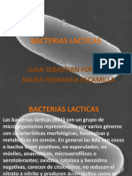 Bacterias Lacticas