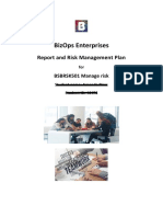 Report and Risk Managment Plan BSBRSK501