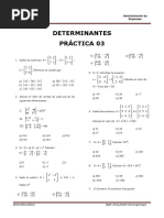 03 Practica Determinantes