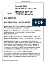 Solicitud de Pase Personal Laboral LIZ PDF