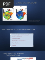 FISIOLOGIA CARDIOVASCULAR Ultimo PDF