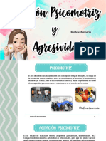 Agitación Psicomotriz y Agresividad PDF