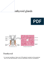 Parathyroid