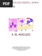 2-1 - Atlas-Celula-04-Nucleo