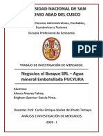 PROYECTO Agua Embotellada Pucyura