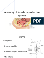 Anatomy of Female Reproductive System