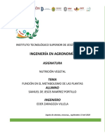 Función en El Metabolismo de Las Plantas - 1