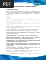 Administrador Funcional Sistemas Informacion Pa1