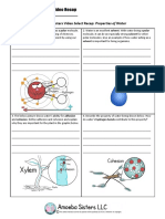 Amoeba Sisters Video Select Recap: Properties of Water: Solvent Is Important For Living Organisms