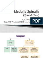 Medulla Spinalis: (Spinal Cord)