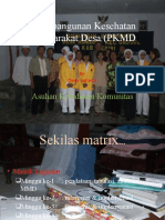 Pembangunan Kesehatan Masyarakat Desa (PKMD)