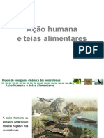 7.3. Ação Humana e Teias Alimentares