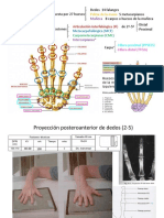 Radiologia Simple MIEMBROS SUPERIORES FOTOS