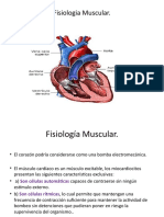 Músculo Cardiaco