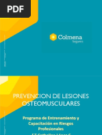 Presentación Prevención de Lesiones en Miembros Superiores