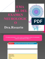 Esquema de Examen Neurologico