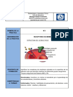 Guía Identificacón de Grupos Sanguíneos